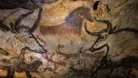Peintures pariétales dans la grotte de Lascaux, en Dordogne. Cette grotte, fermée au public qui n'a accès qu'à un fac-similé pour éviter sa détérioration, va voyager à travers le monde grâce à une reproduction itinérante qui a été inaugurée vendredi à Bor