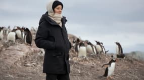 Marion Cotillard en Antarctique