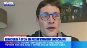 Quel avenir pour le Moulin, dans le 3e arrondissement de Lyon?