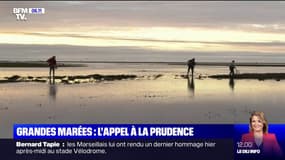 Si les grandes marées réjouissent les pêcheurs, les autorités appellent à la prudence 
