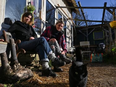 A Dijon, les squatteurs des Lentillères en lutte contre le béton.