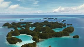 L’archipel des Palaos interdit les crèmes solaires toxiques pour préserver ses coraux 