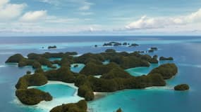 L’archipel des Palaos interdit les crèmes solaires toxiques pour préserver ses coraux 