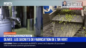 "C'est le même principe d'extraction depuis des millénaires": la récolte des olives et la fabrication d'huile bat son plein