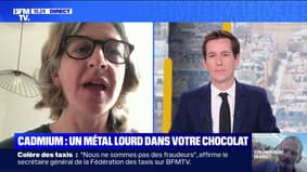 Présence d'un heavy métal dans le chocolat: «La coco est vraiment une plante qui absorbe très facilement le cadmium», alerte Marie-Amandine Stévenin, présidente de l'association UFC-Que Choisir