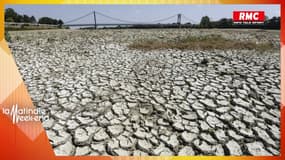 Pyrénées-Orientales: "La situation exceptionnelle de sécheresse sera bientôt la norme"
