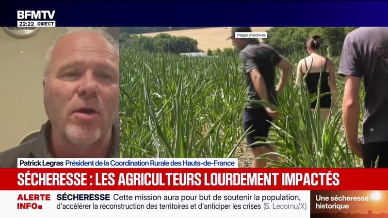 Sécheresse: "On va vivre une des pires années agricoles depuis des dizaines d'années", juge Patrick Legras, président de la Coordination rurale des Hauts-de-France