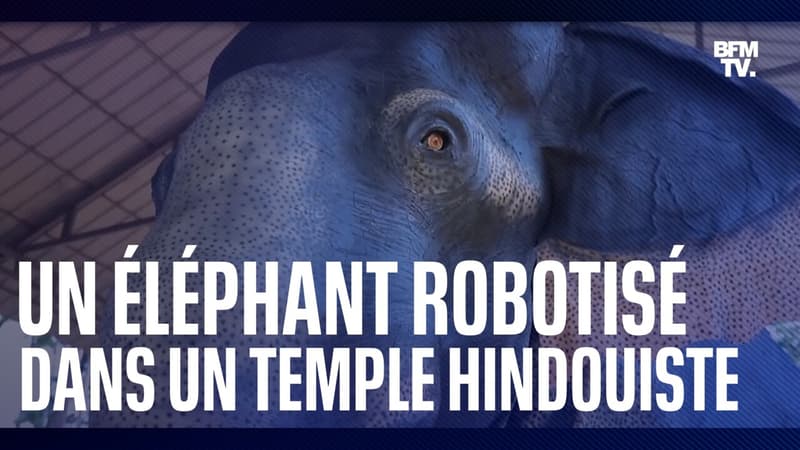 Un éléphant robotisé dans un temple hindou contre la maltraitance animale en Inde
