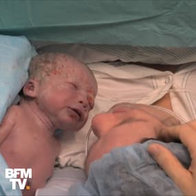 Au Brésil, première naissance issue d'une greffe de l'utérus d'une donneuse morte