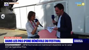Manche: dans la peau d'une bénévole du festival Papillons de nuit