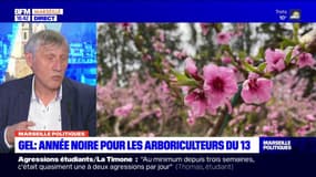 Réchauffement climatique: le président de la chambre d'agriculture des Bouches-du-Rhône, invite à "protéger" les cultures"