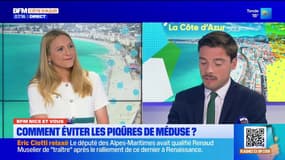 BFM Nice et vous : "comment éviter les piqûres de méduse ?'"