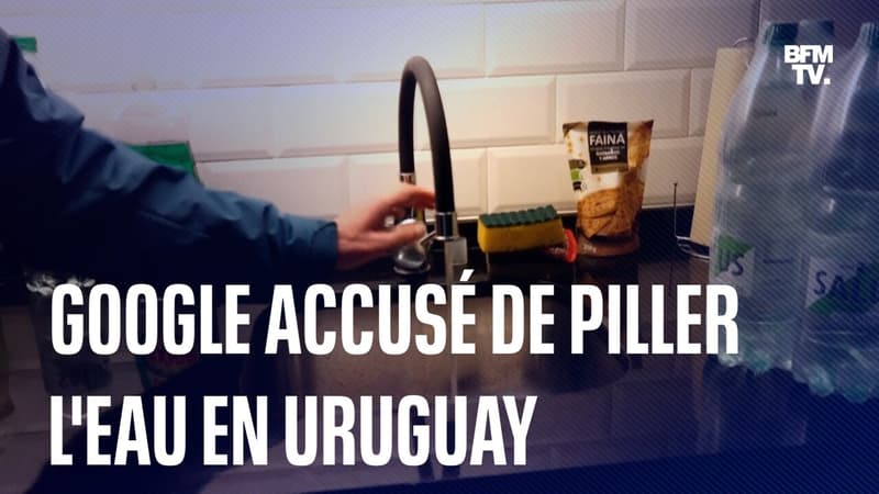 En Uruguay, Google est accusé de piller l'eau
