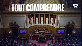 L'hémicycle du Sénat le 17 décembre 2020 (illustration)