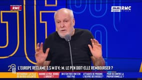 L'Europe réclame 3,5 millions d'euros au RN : "Il faut rembourser les sommes volées", dénonce Étienne Liebig