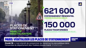 Paris: vers une végétalisation des places de stationnement