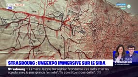 Strasbourg: une exposition immersive sur le Sida