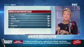 Dupin Quotidien : Des travaux énergétiques de rénovation inefficaces ? - 23/10