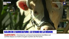 La région Auvergne-Rhône-Alpes représentée au Salon de l'Agriculture