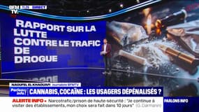 LES ÉCLAIREURS -  Cannabis, cocaïne: que contient la proposition de dépénalisation? 