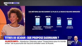 Titres de séjour : que propose Darmanin ? - 02/11