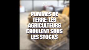 Pommes de terre: les agriculteurs croulent sous les stocks