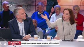 #LoiAntiCasseurs - "Le juge administratif ne pourra pas être saisi dans les temps parce que le préfet pourra prendre la mesure le jour même ! @soubremarieanne #GGRMC 
