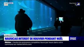 Boulogne-sur-Mer: Nausicaá interdit de rouvrir pendant Noël
