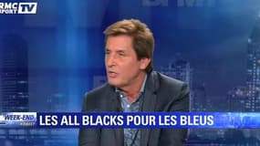 France-Irlande / Guazzini : "Chaque fois qu'on a rencontré les All Blacks, on les a battus"