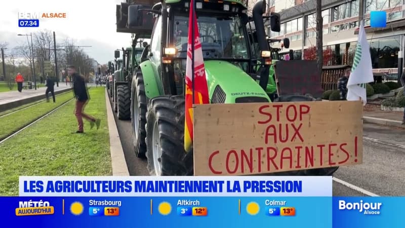 Mulhouse: les agriculteurs maintiennent la pression