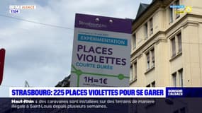 Strasbourg: 225 places violettes sont disponibles pour se stationner