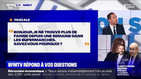 Auto-entrepreneuse, je suis en congé maternité depuis mars 2019, comment bénéficier du fonds de solidarité? BFMTV répond à vos questions