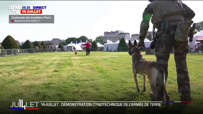 14-Juillet: la démonstration d'une équipe cynotechnique de l'armée de Terre