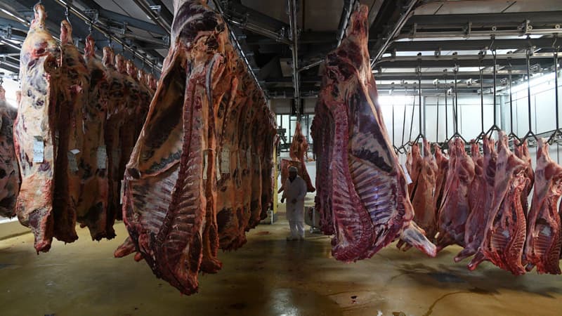 Un abattoir à Surgères, en Charente-Maritime, en juin 2016