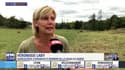 "Il savait rendre fiers les agriculteurs": Véronique Laby, agricultrice à Brignais, rend hommage à Jacques Chirac