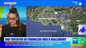 Une tentative de féminicide a eu lieu ce mardi à Mallemort