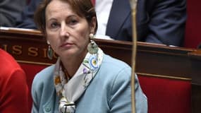 La ministre de l'écologie Ségolène Royal à l'Assemblée nationale le 7 avril 2015
