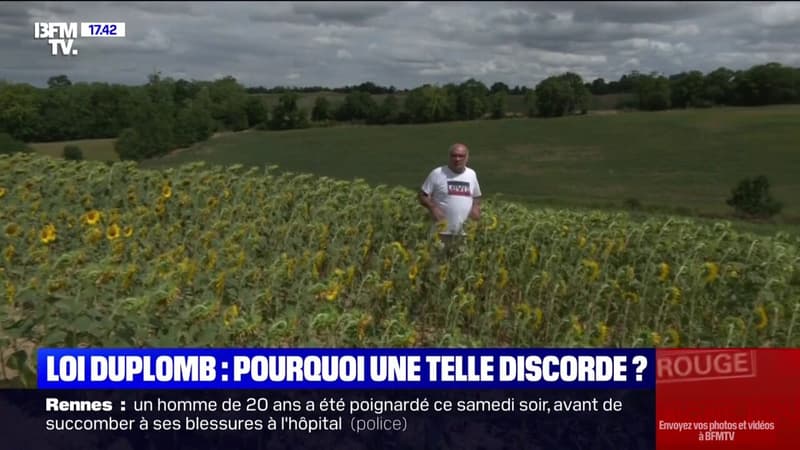 Loi Duplomb: tout comprendre aux raisons de la discorde