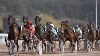 Les pronos hippiques du mardi 1er novembre 2022