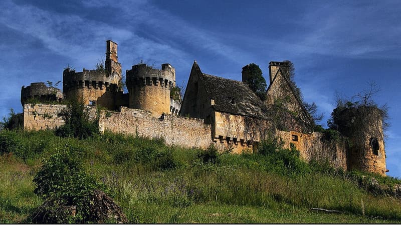 Le château de Paluel, un des nombreux châteaux à sauver