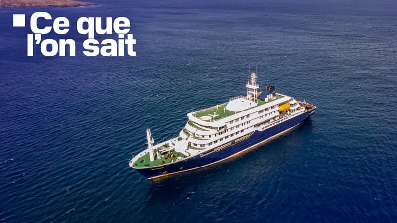 Trois morts, rapatriements organisés, dépistage... Ce que l'on sait sur le possible foyer de hantavirus présent sur un bateau de croisière dans l'Atlantique