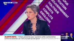 Sandrine Rousseau sur la mobilisation à Sainte-Soline: "Pourquoi un tel déploiement de police pour juste une manifestation écologiste ?"