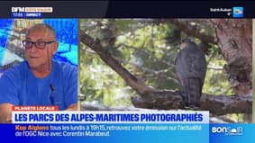 Planète Locale du mercredi 12 mars - Les parcs des Alpes-Maritimes photographiés