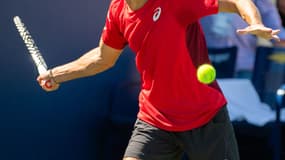 de minaur