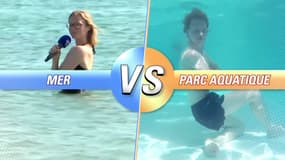 Êtes-vous plutôt fonds marins ou parcs aquatiques? 