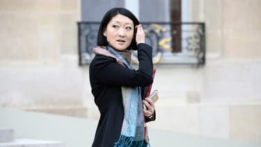 Pour lutter contre le piratage, Fleur Pellerin s'attaque directement au portefeuille des sites.