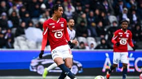LOSC