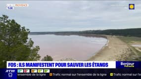 Bouches-du-Rhône: manifestation contre un site Seveso à Fos-sur-Mer