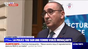 Femme menaçante dans le RER: le préfet de police de Paris affirme que "cette personne n'était pas en possession d'explosif" 