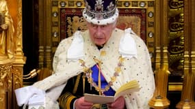 Le roi Charles III face au Parlement britannique, à Londres le 7 novembre 2023